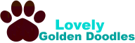 lovelygoldendoodles.com